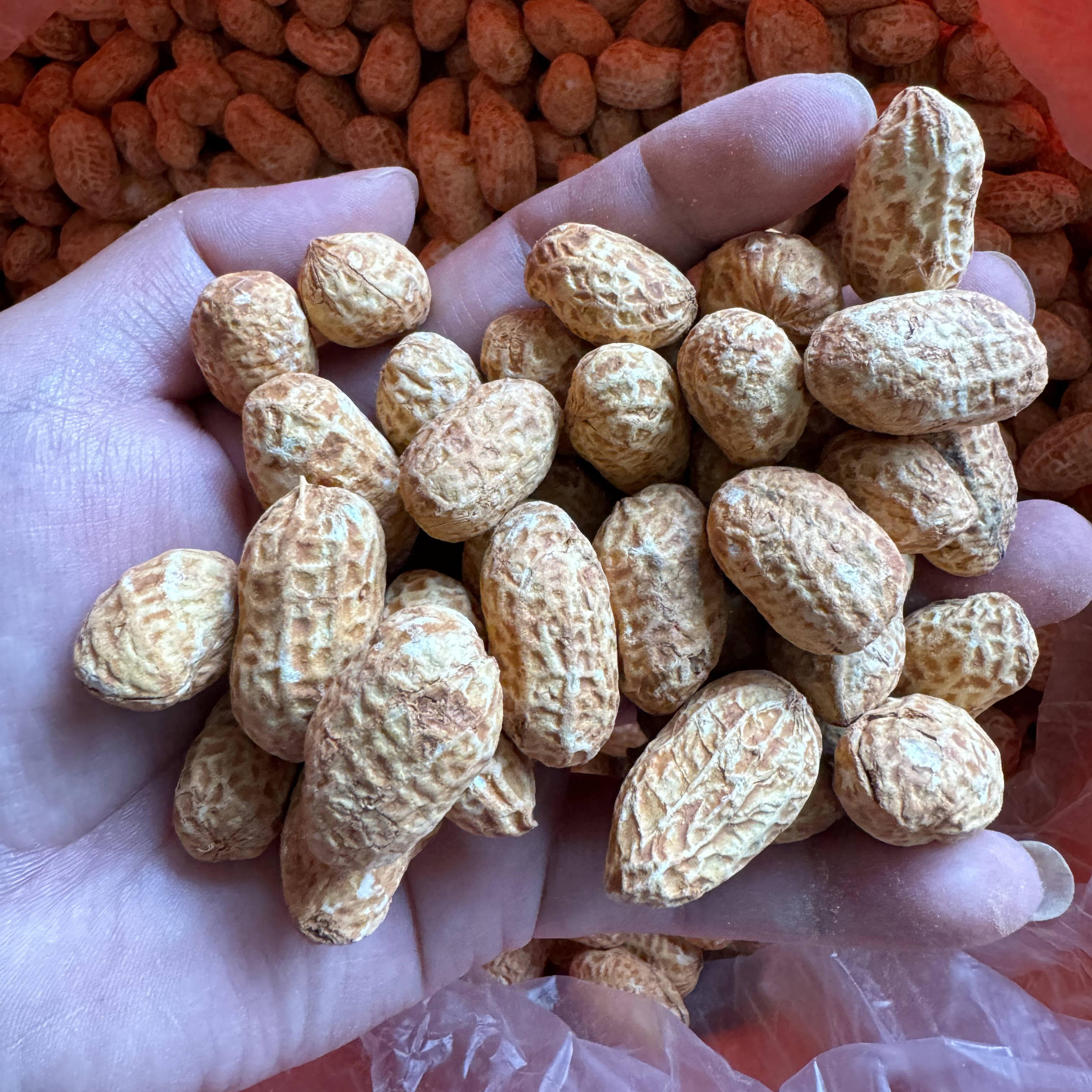 福建特产农家种植水煮红泥/白晒花生颗粒挑选1斤/3斤/5斤装