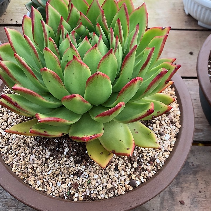 每周特价活动开始啦