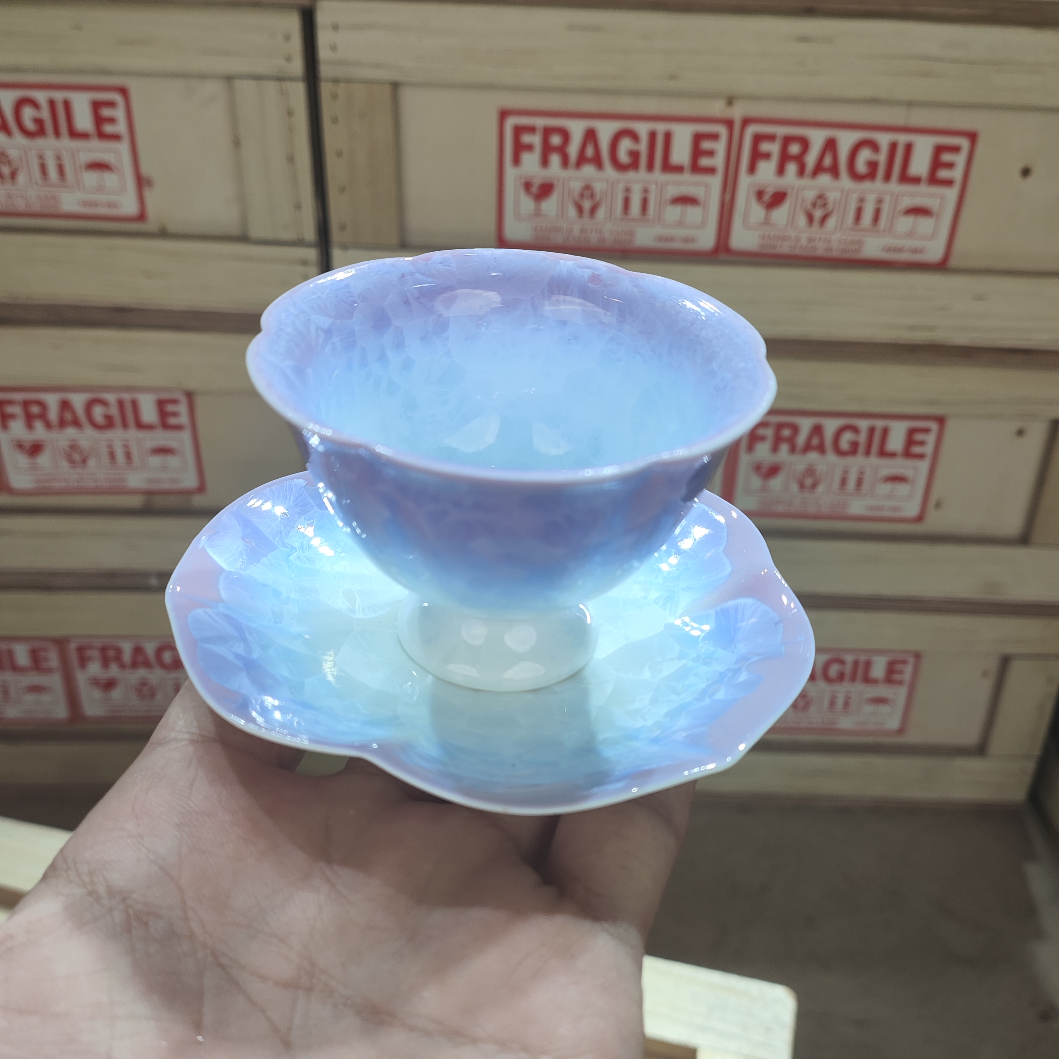 【闪购商品】九皿茶具jw161