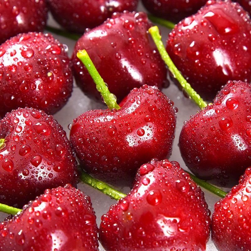 【陈氏阳光】科迪亚车厘子净重5斤装单J/双J礼盒装新鲜现摘 鲜甜爽口科迪亚樱桃