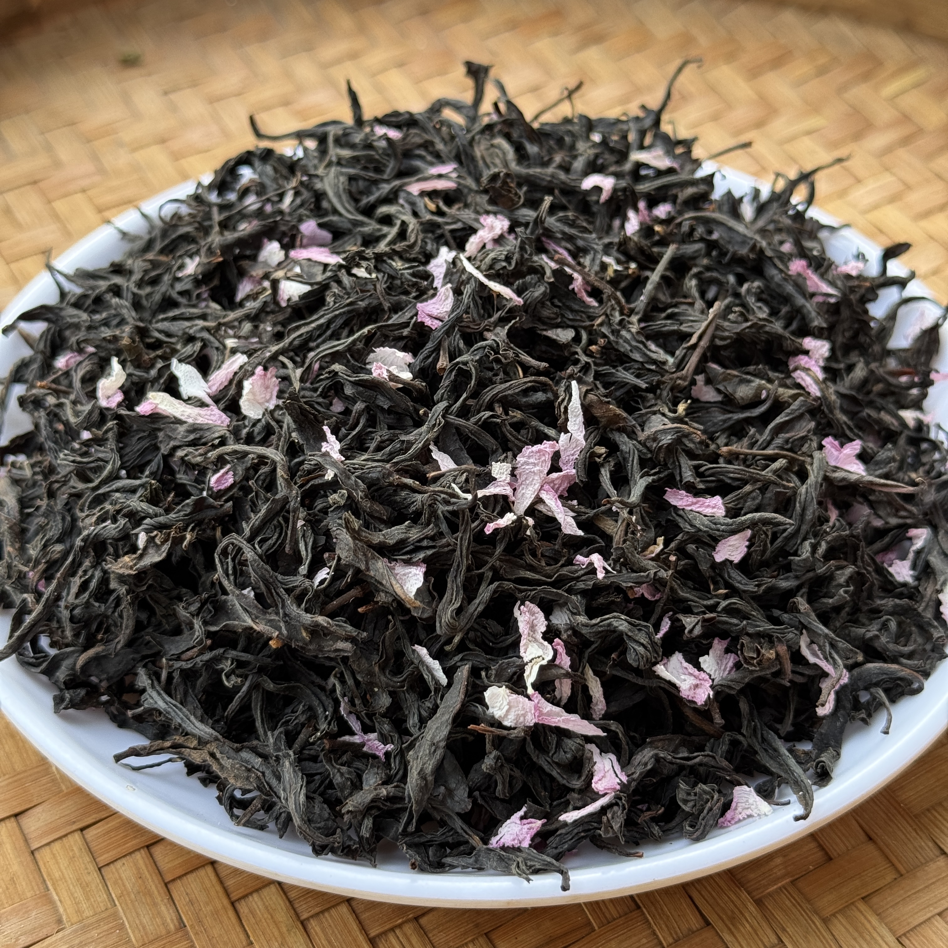 武夷山樱花红茶   冬青收茶 