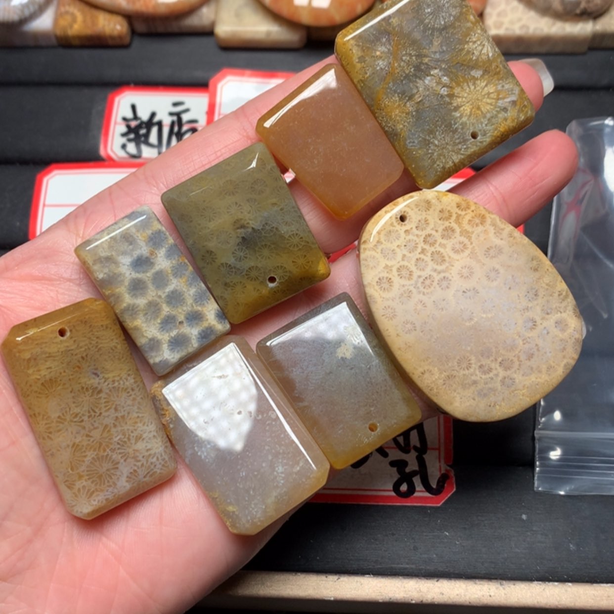 【闪购商品】硅化玉颈饰未镶嵌脆***子