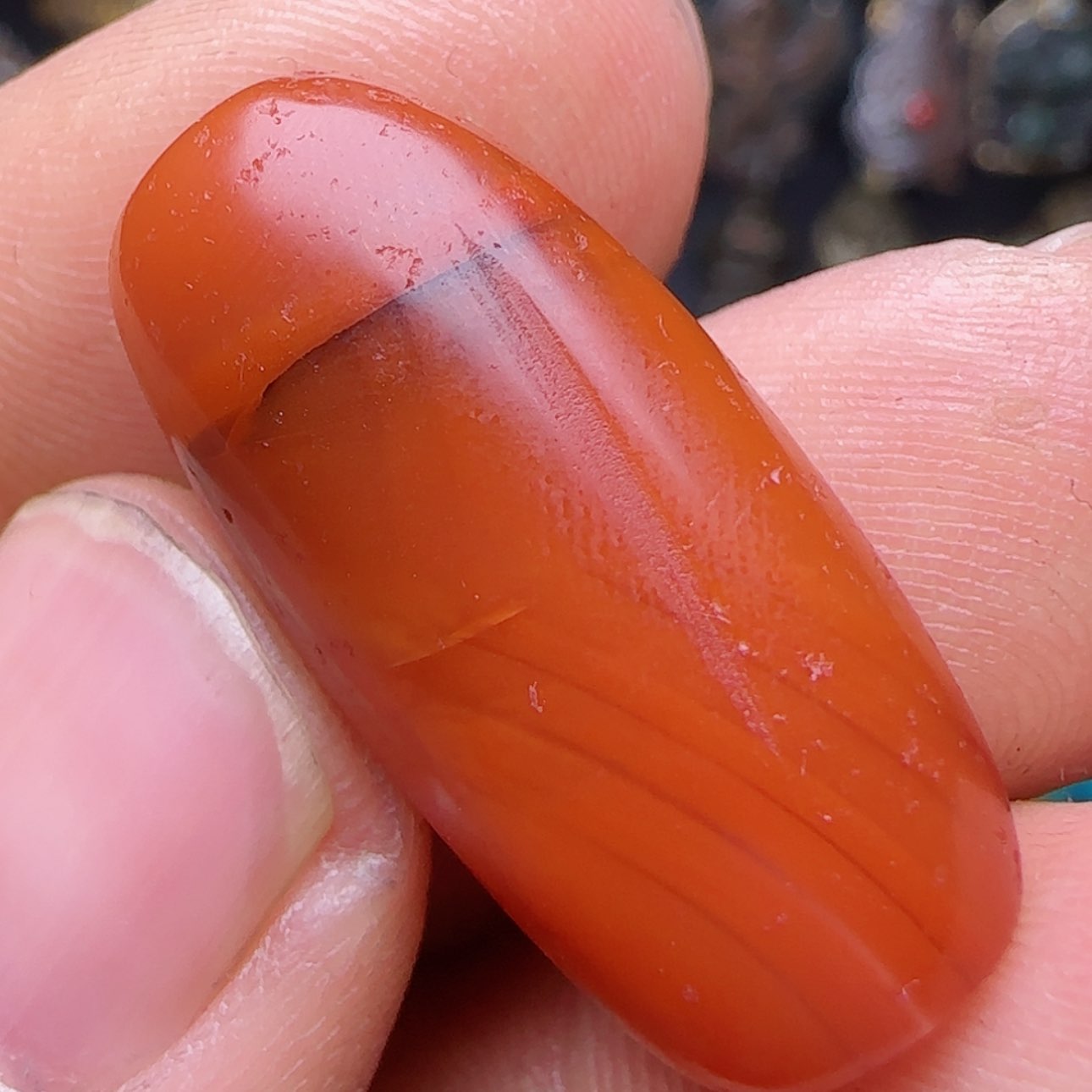 【闪购商品】吊坠凤眼菩提老老老