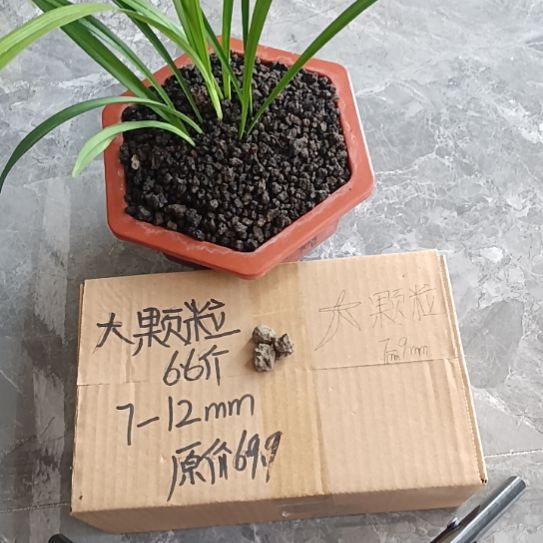 叶***兰菌黑山土大颗粒6.6斤