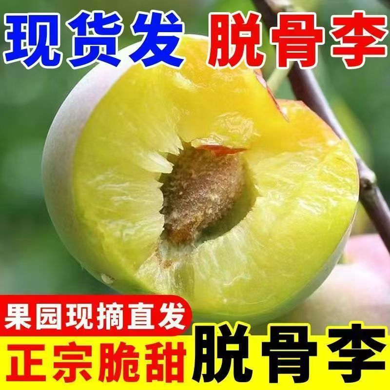 四川高山新鲜应季半边红茵红脱骨脆李脆甜多汁爽口