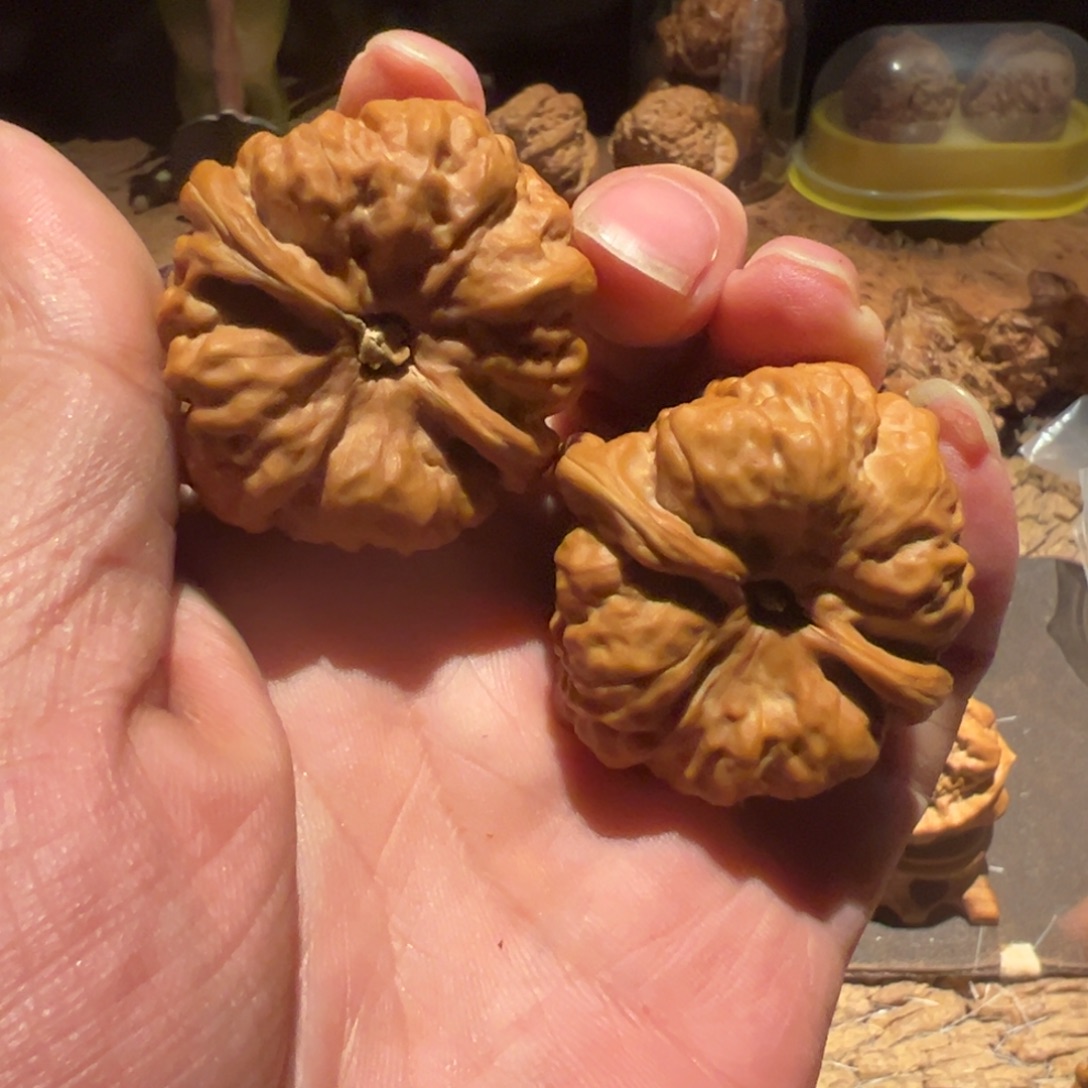 风***样核桃手串/手链文玩核桃精品蛤蟆头