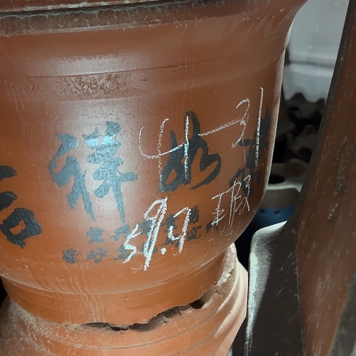 试试再说说着说着实在是 