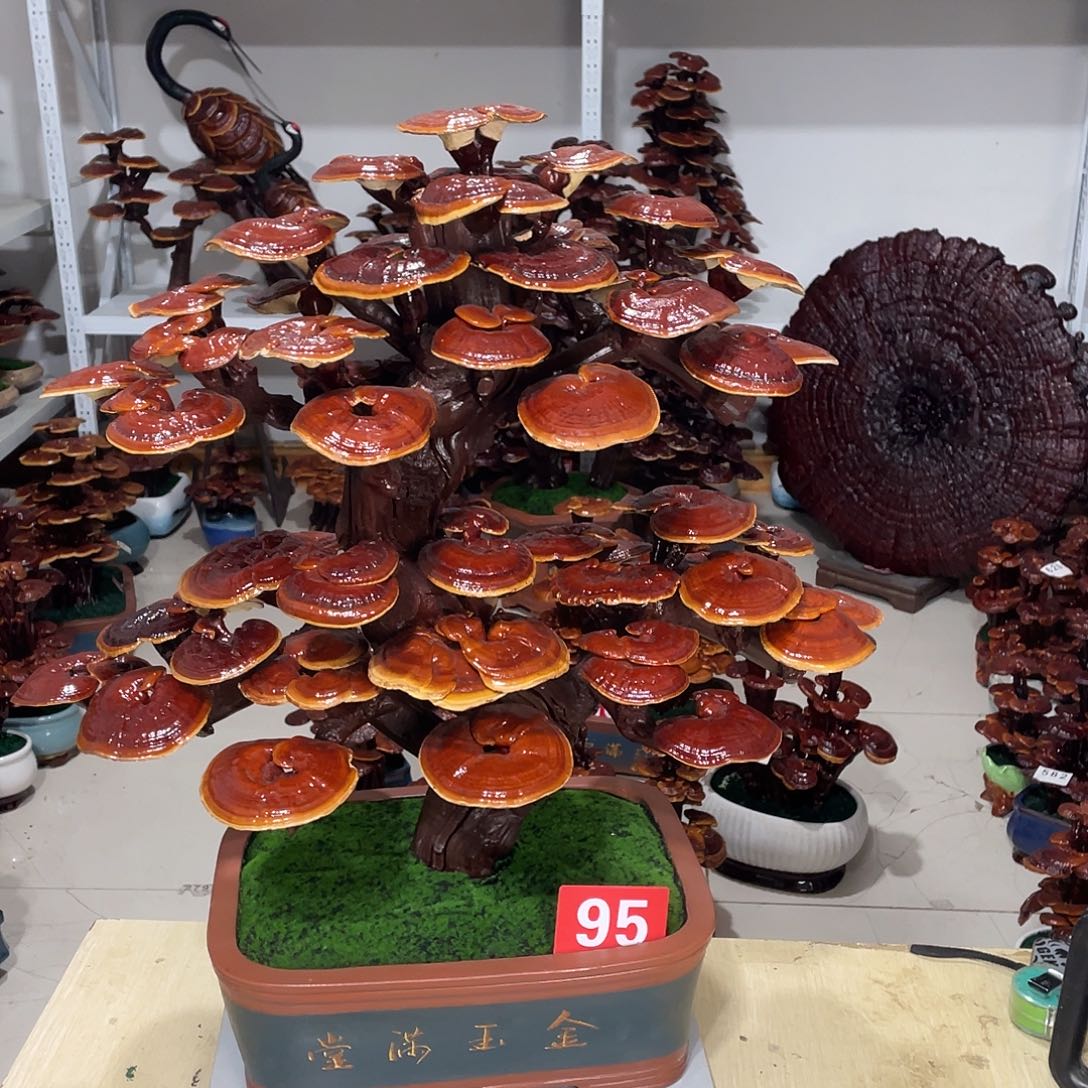 无花朵888888888888