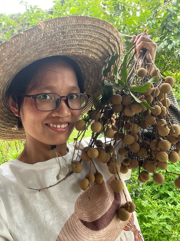 广东阳春石硖龙眼新鲜超甜当季水果