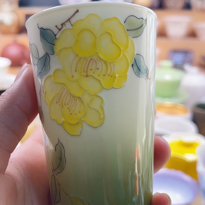主人杯主人不在如何通话中体会