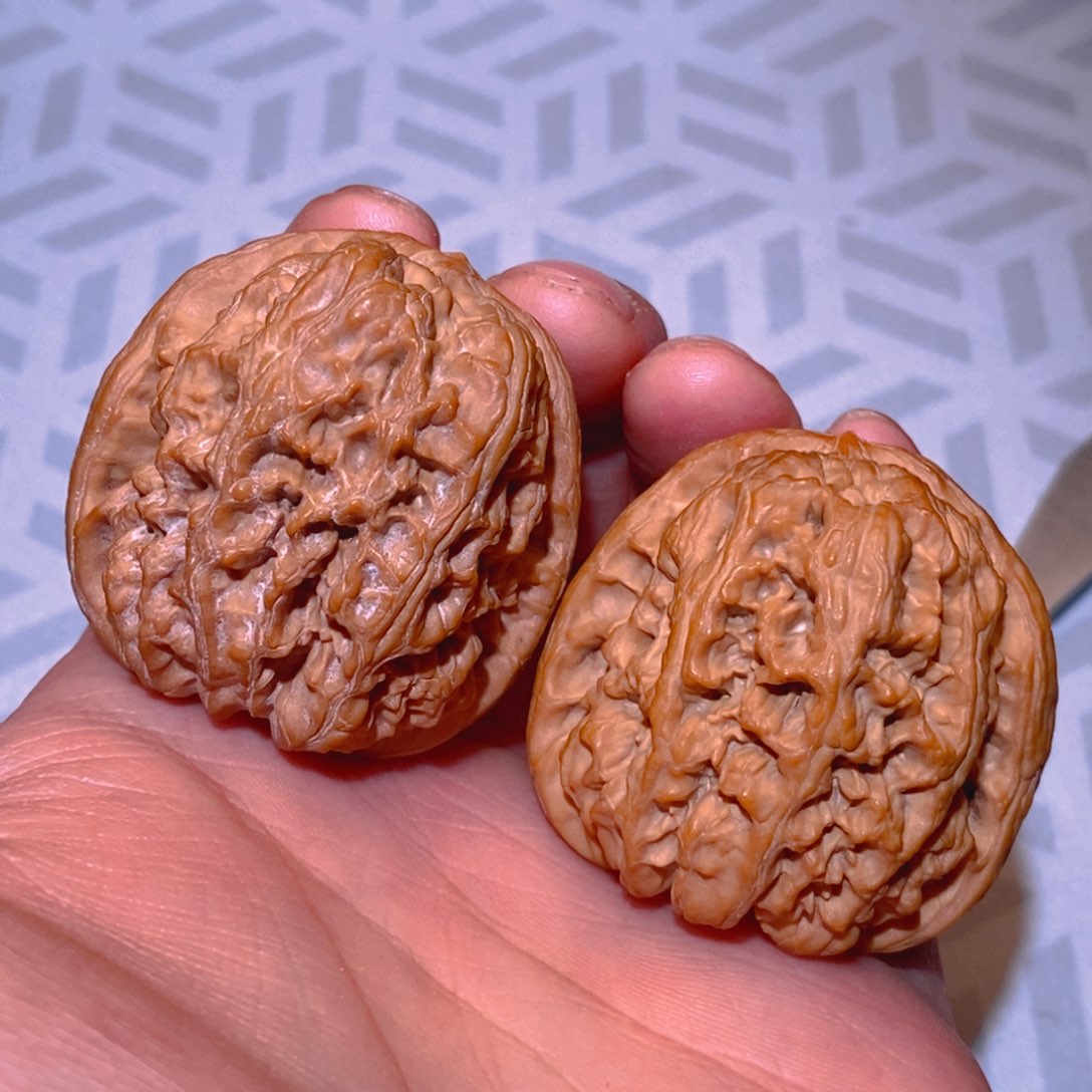 43尺 微修 华北将军膀