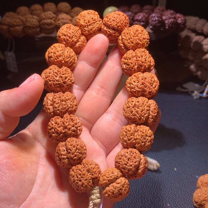 菩提籽类22+云巅梅花