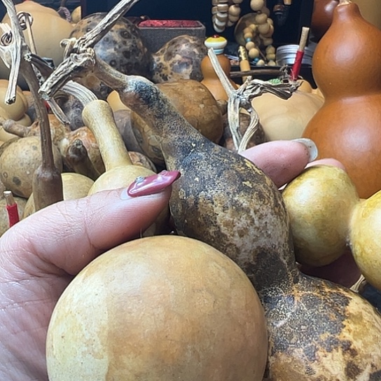 江*葫芦葫芦葫芦葫芦