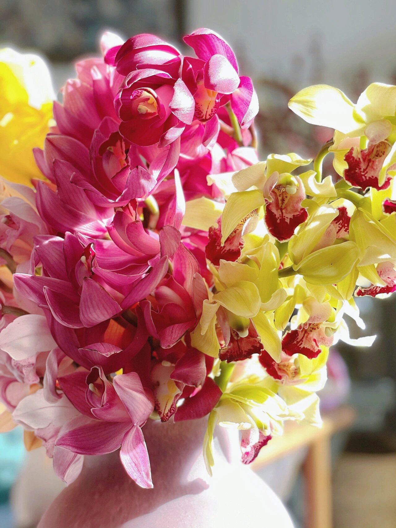 【花满堂】鲜花 混色大花惠兰 任意两单包邮 发货后不支持退款