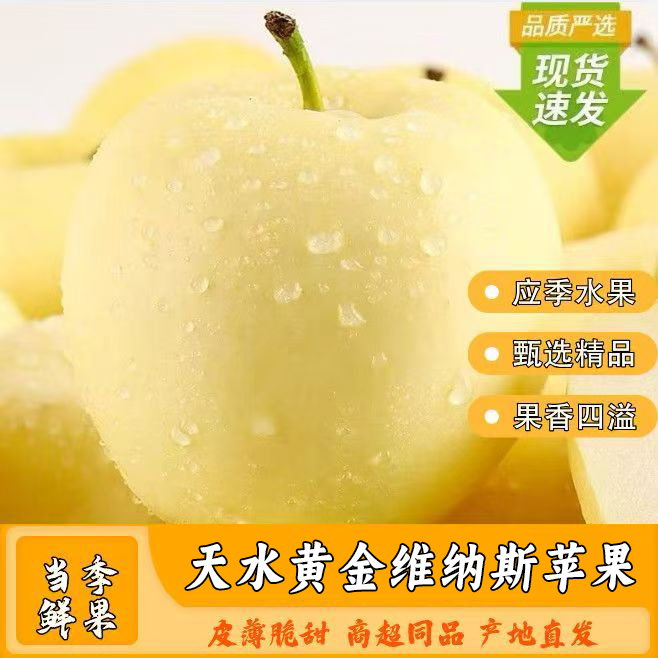 【2025新果】甘肃天水黄金维纳斯苹果脆甜多汁当季水果纯甜无酸