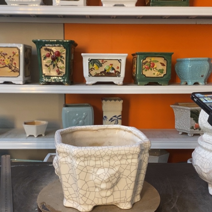 红陶人****欢花盆里的小猫咪