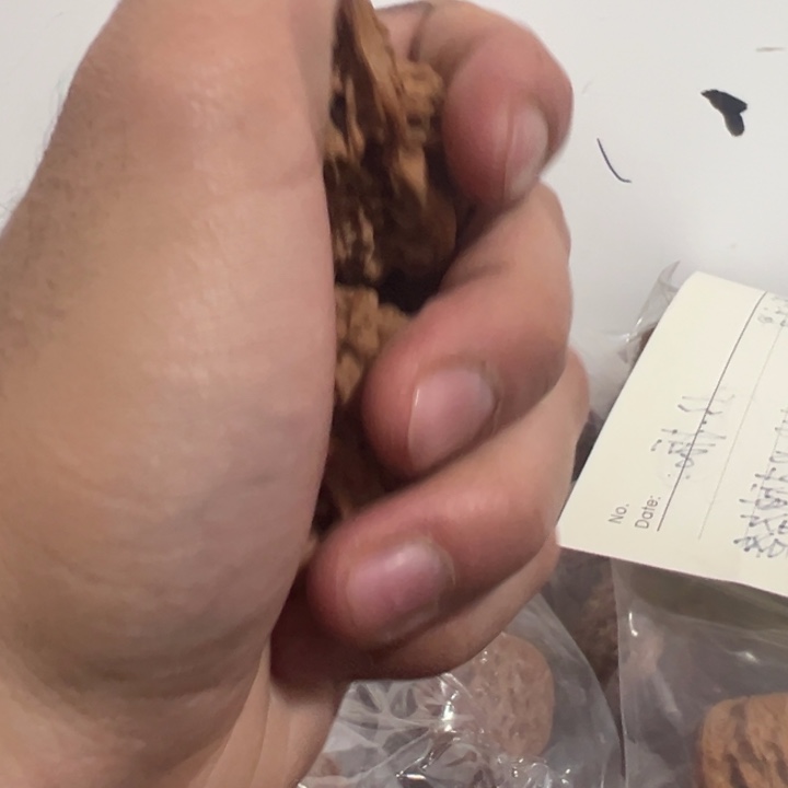 小鸟有修福利款一大一小