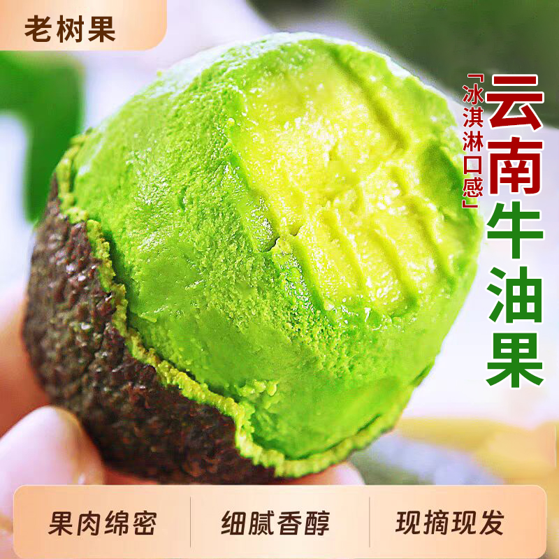 云南哈斯进口牛油果宝宝奶酪辅食熟透即食鳄梨大果新鲜应当季水果