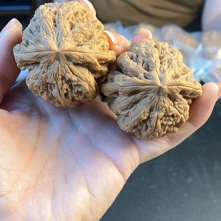文玩核桃把件50粗筋