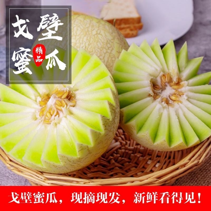 瓜洲蜜瓜戈壁新鲜特产水果当季现摘现发正宗薄皮银蒂网纹白兰瓜