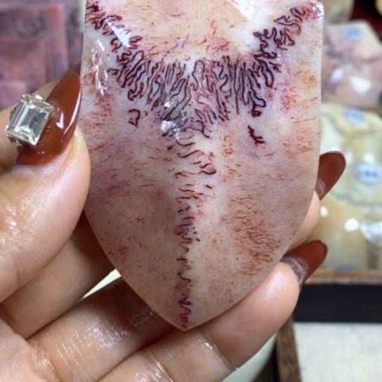 @***এ鹿骨手串/手链养殖鹿鹿三界手把件