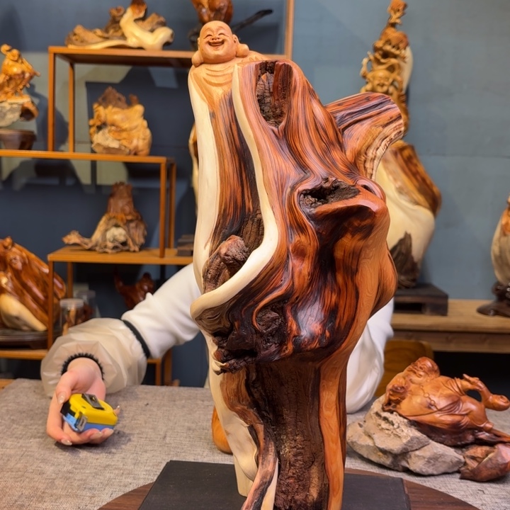 柏木（崖柏）关注一下