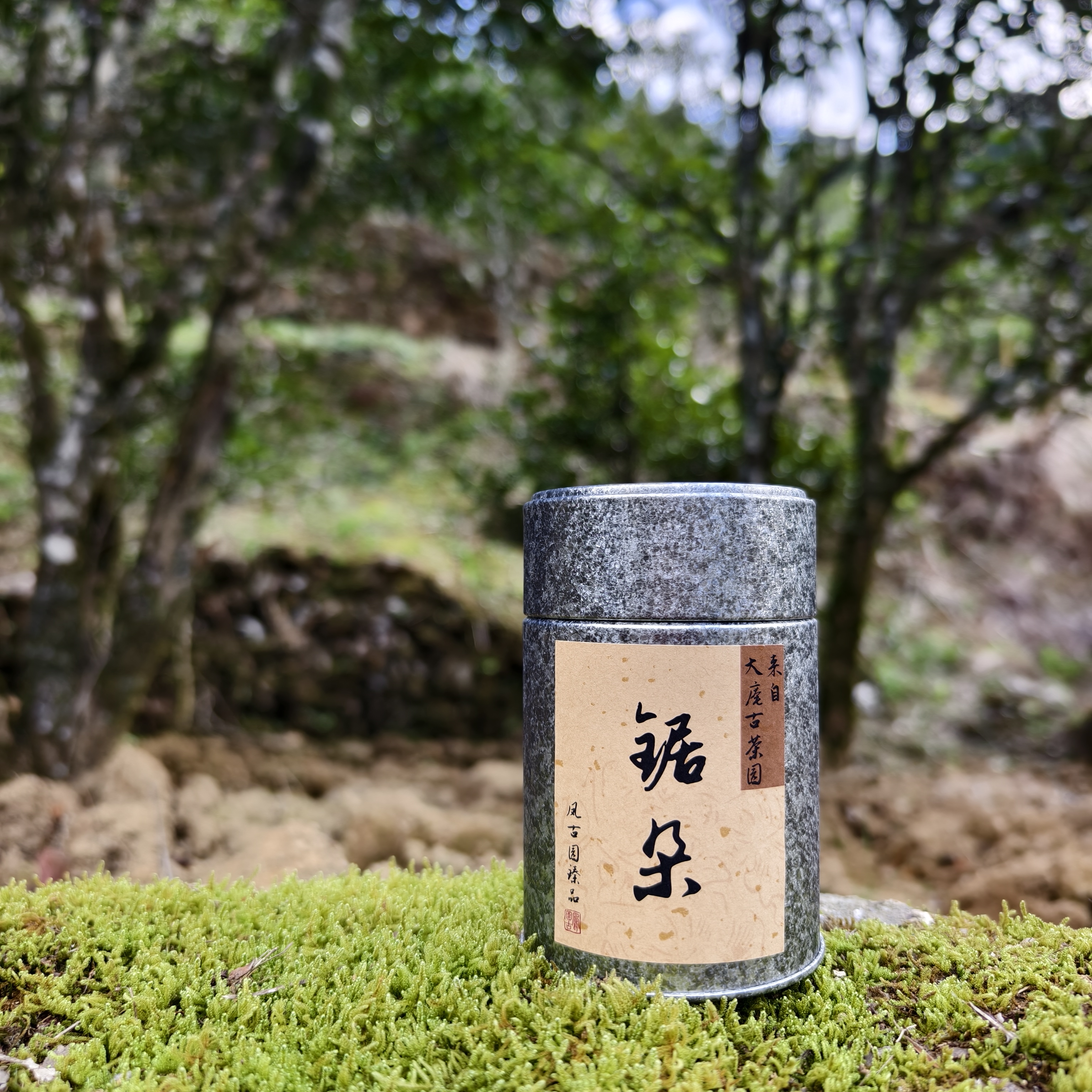 2025年大庵锯朵｜高山韵 仙豆香 底蕴足