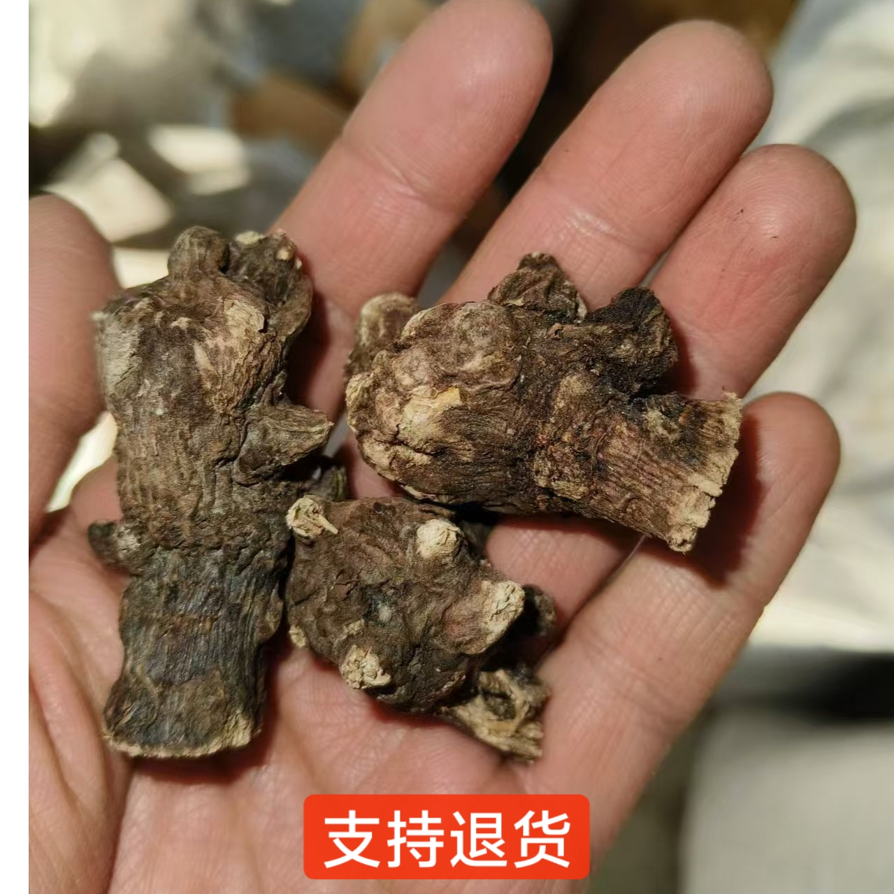 【新货】江油生晒川鸟头 精选选货水洗精品 江油发货