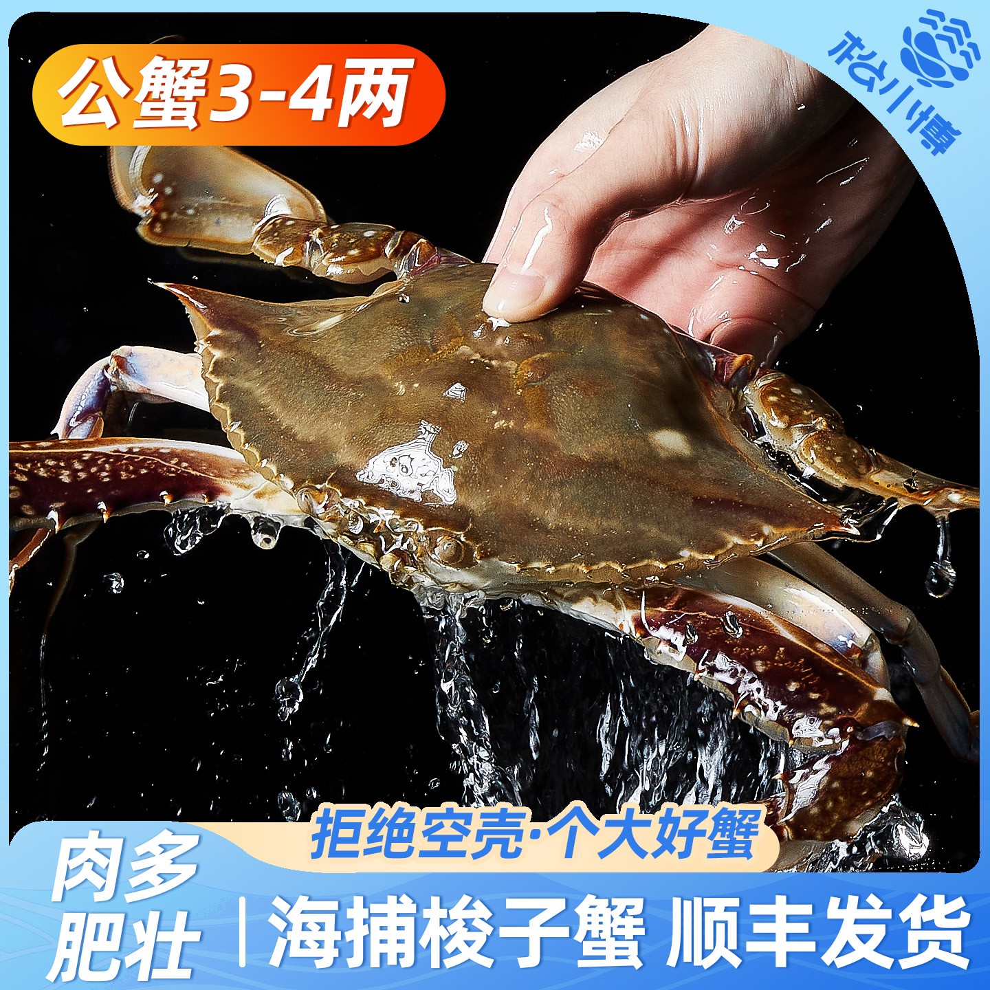 【美人鱼专属】舟山公梭子蟹4两左右一箱8只3斤左右不可清蒸【冻蟹】