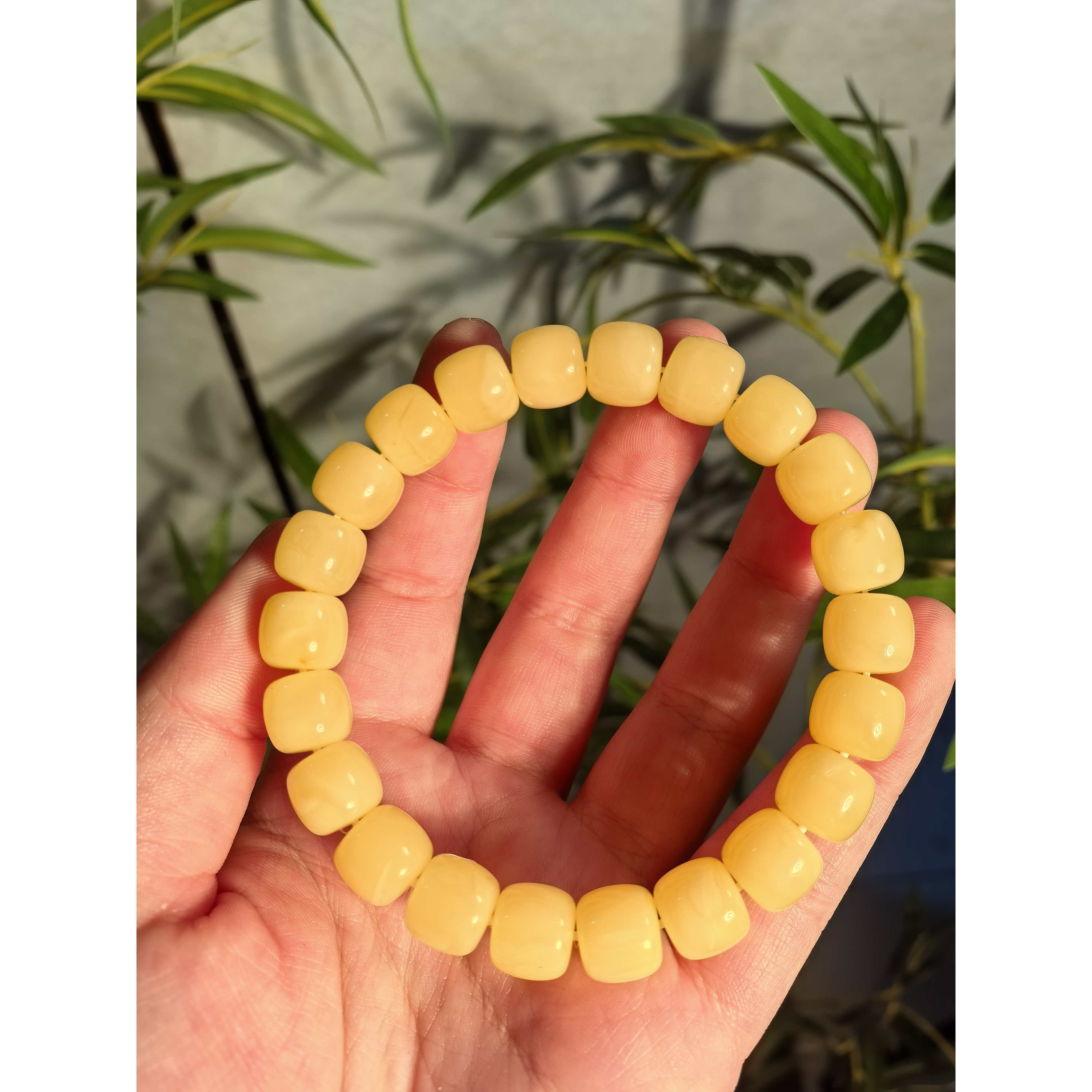 【上新了文玩优选】蜜蜡老型10mm单圈手串