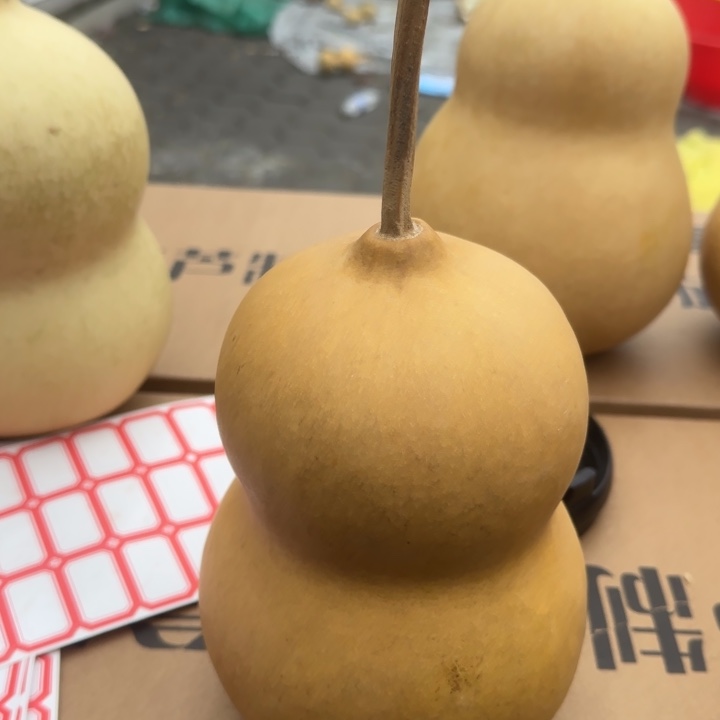 咕噜咕噜滚梯图入库流量了