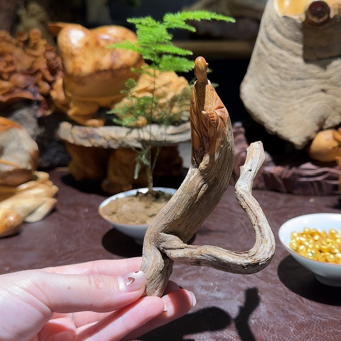 柏木（崖柏）太行集团