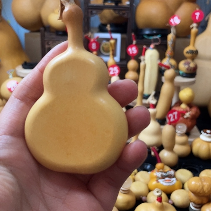 9***版葫芦丝老师真的要来我家