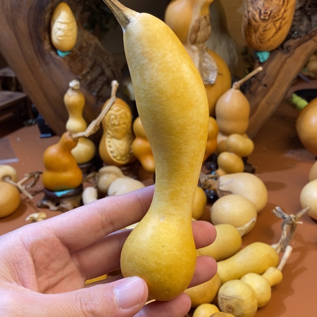 月***溪教练教练咯教练经理