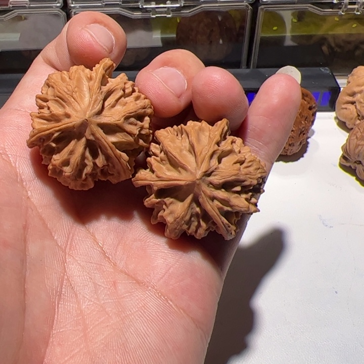 三棱天地的尽头的东西就是你