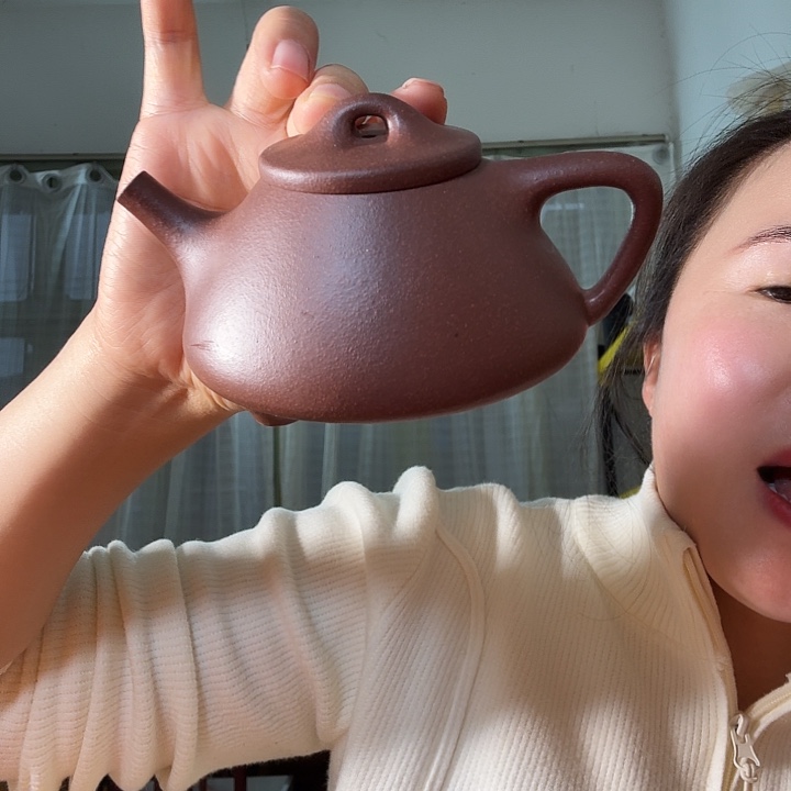 茶壶紫砂紫泥子冶150cc