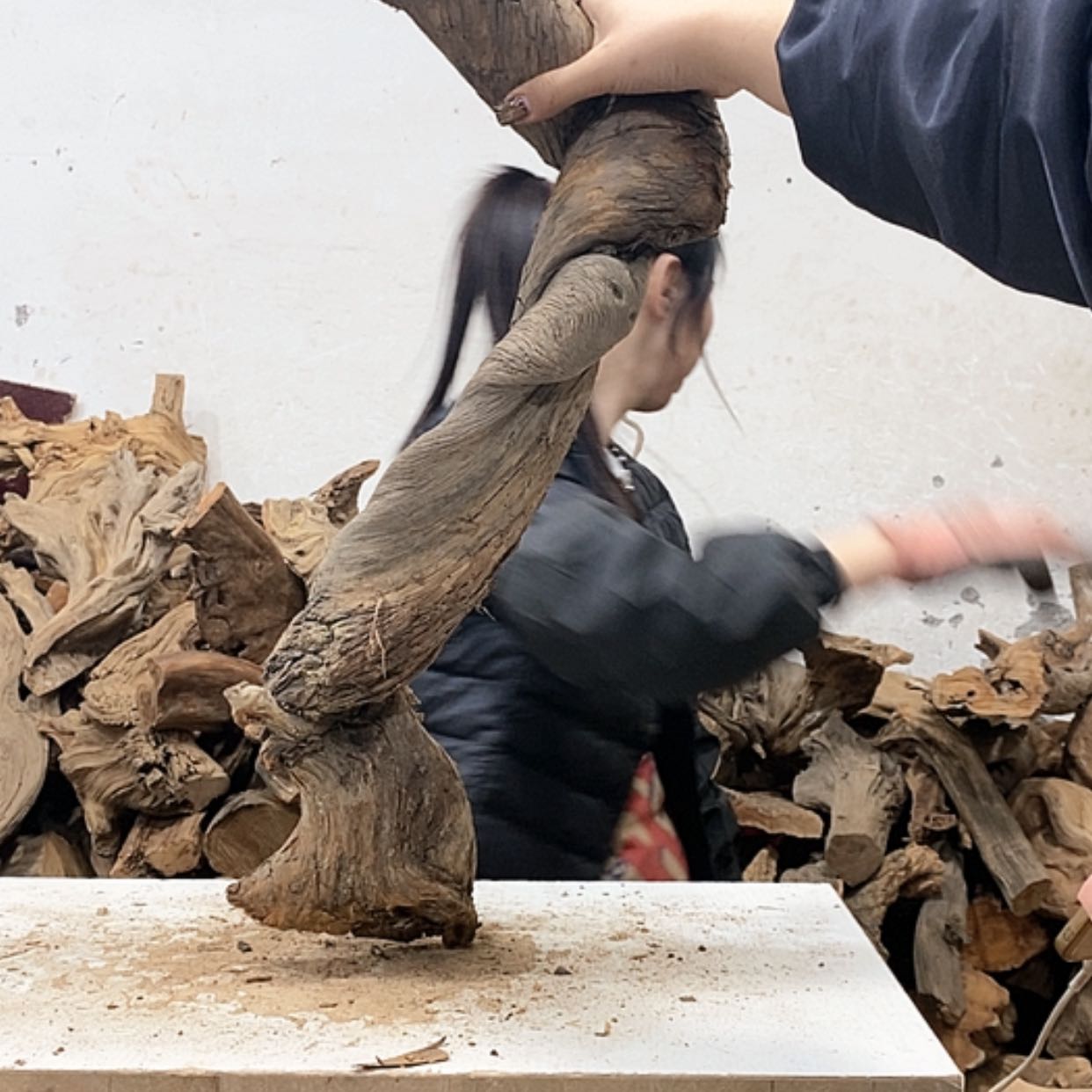 【闪购商品】柏木0*7我们都是好孩子