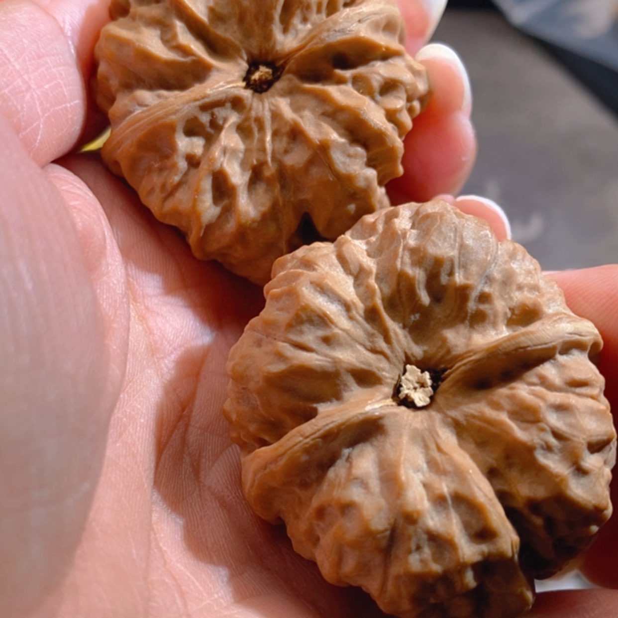 【闪购商品】吊坠文玩核桃小**圆蛤蟆