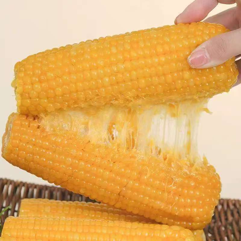 【整箱9-10斤支持试吃5棒】东北软糯黄玉米真空包装240-400克14根