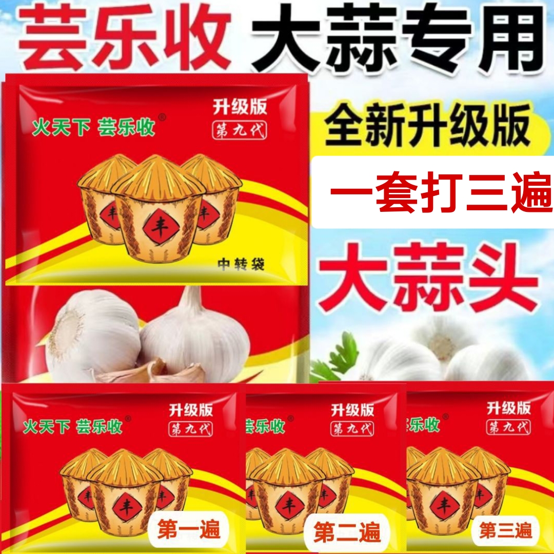 大蒜套餐三遍返青抽苔膨大