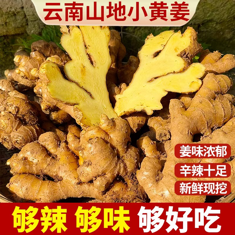 【精品老姜】云南高山小黄姜姜香浓郁高山高海拔种植