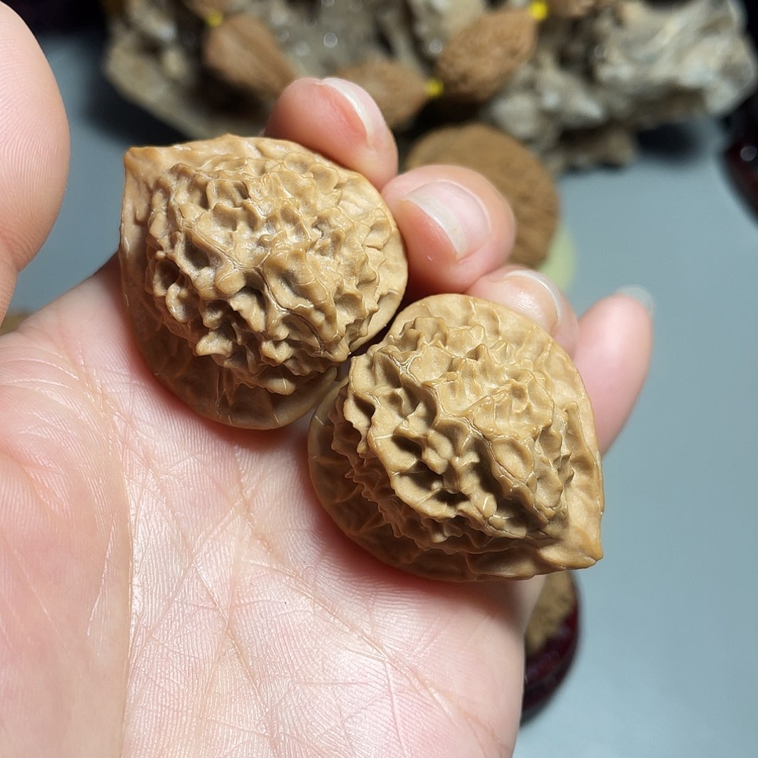 核桃手串/手链精品珊瑚塔32加