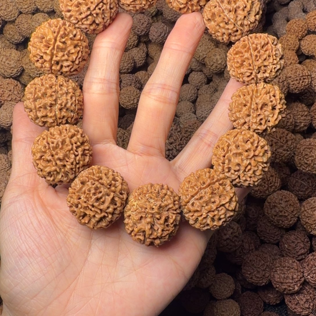 手串金刚菩提8瓣卡26尺，78号