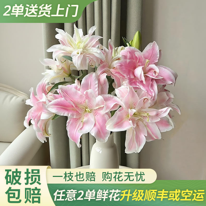 【大聪明卖花】魔法公主 重瓣百合 任意两单鲜花升级快递-元旦福利