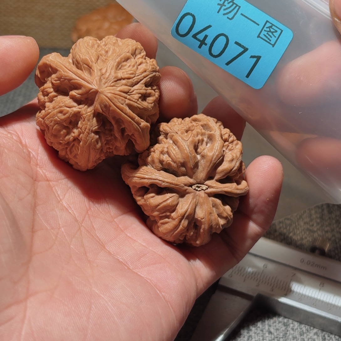 把件文玩核桃粗筋