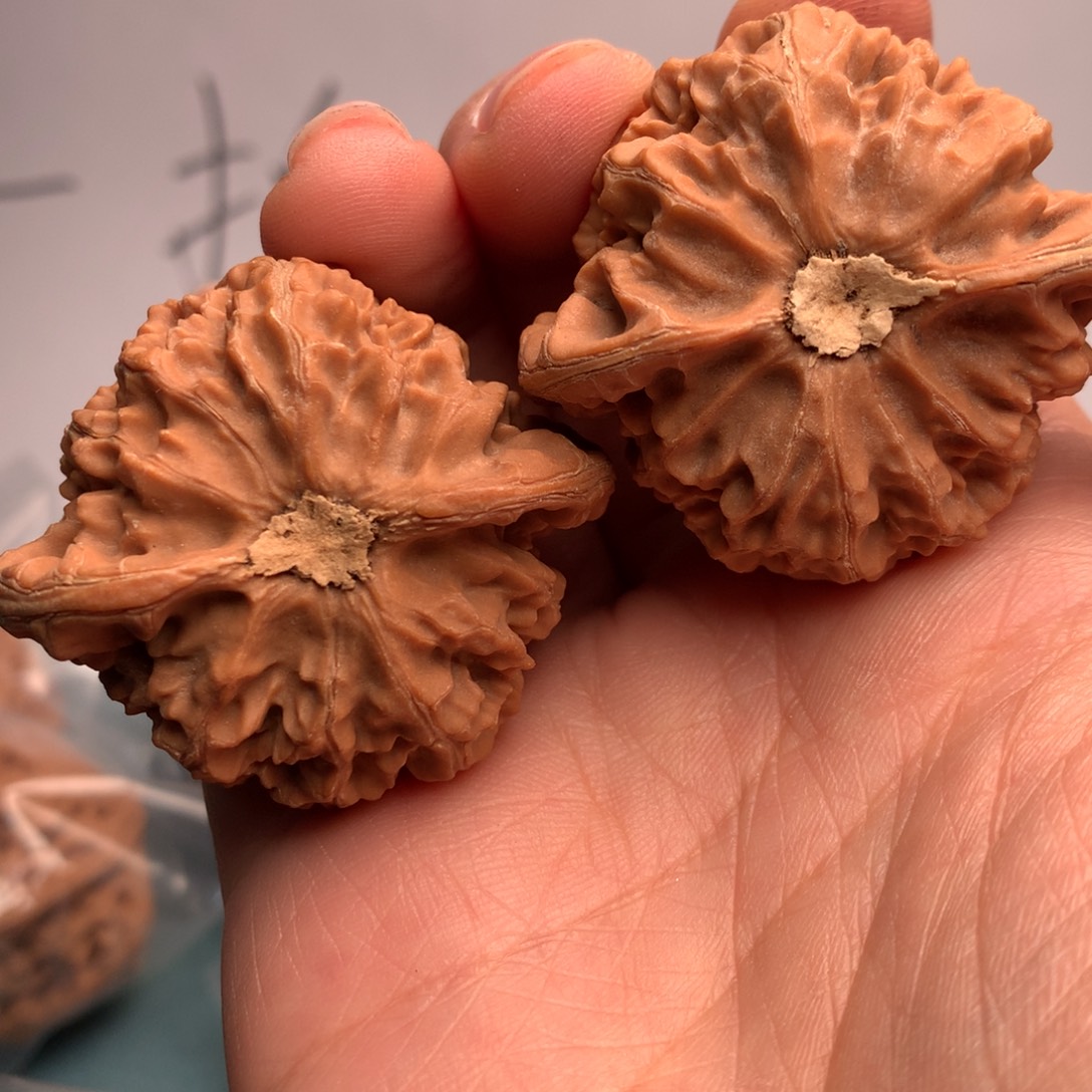 一***子宫灯45件共十余台