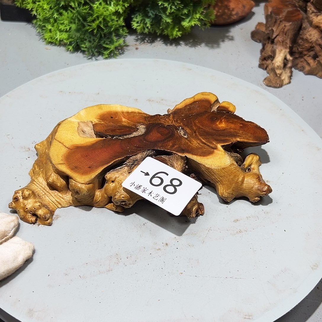 凤***飞香榧木火琉璃……火琉璃