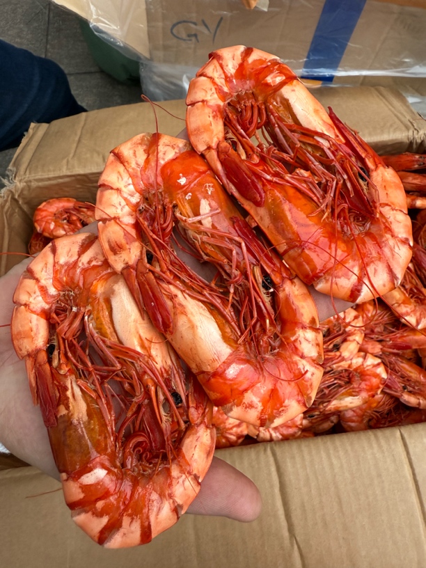 九节虾干斑节虾干海鲜美味即食大虾特产送礼佳选（冷冻保存）