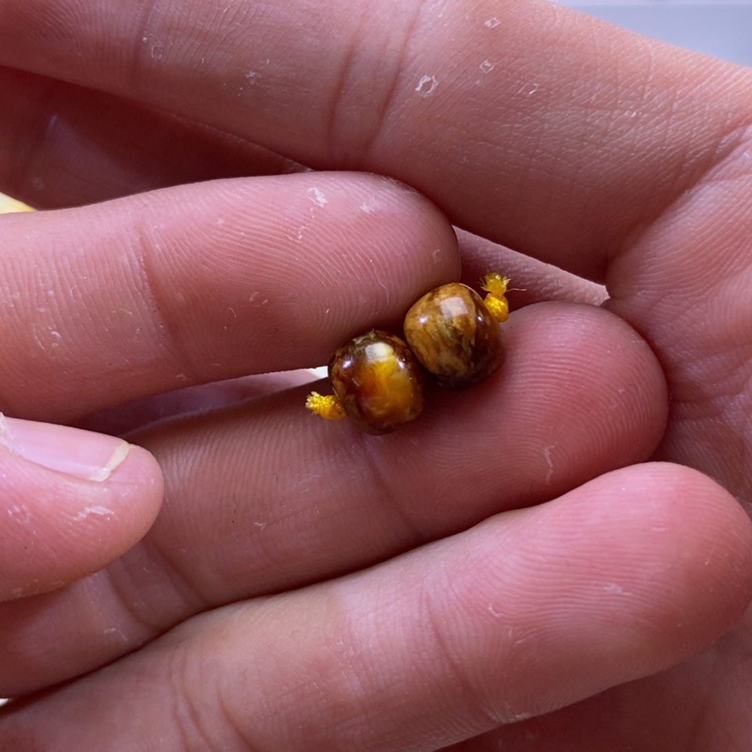 琥珀珠宝奇石未镶嵌8.2