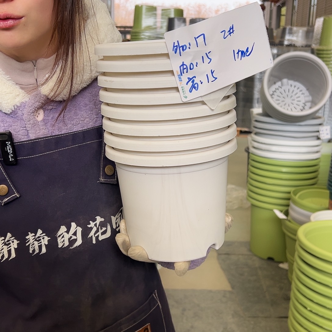 四季盆2#白色10个无托